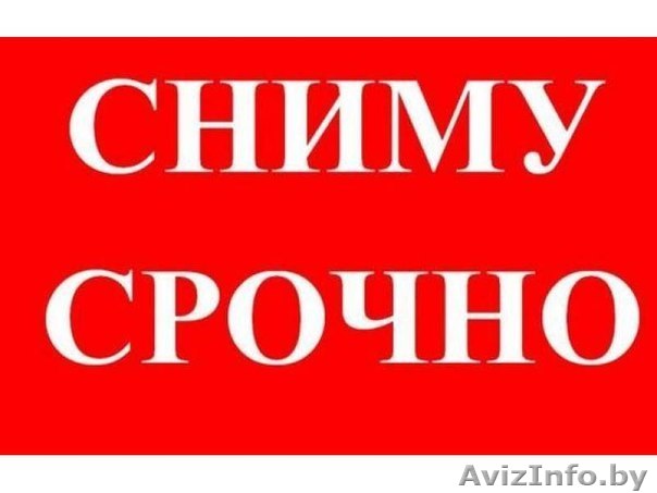 Молодая добропорядочная семья  без вредных привычек снимет квартиру. - Изображение #1, Объявление #1127034