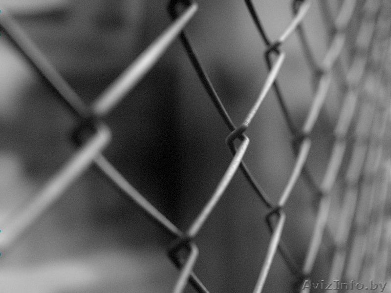 Сетка рабица  - Изображение #1, Объявление #1593779