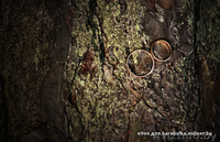 свадебный фотограф новополоцк - Изображение #5, Объявление #454616