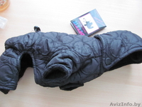 Комбинезон для маленькой собаки - Изображение #1, Объявление #849241