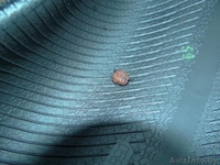 Шины Barum Brillantis 185/65/R15 88T 4 штуки - Изображение #4, Объявление #1027534