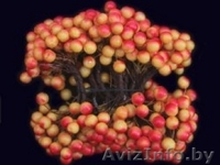 Материалы для хобби - Изображение #1, Объявление #1293998