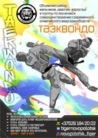 Спортивный клуб "Tiger" - Изображение #1, Объявление #1634373