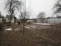 Дача Шнитки Новополоцк - Изображение #5, Объявление #1650363