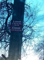 Дача в Новополоцке Шнитки Нефтяник-1 ул.6-я Линия-119 - Изображение #9, Объявление #1681386