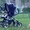 Verdi Max - детская универсальная модульная коляска 3 в 1 - Изображение #1, Объявление #200328