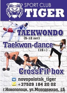 Спортивный клуб "Tiger" - Изображение #2, Объявление #1634373