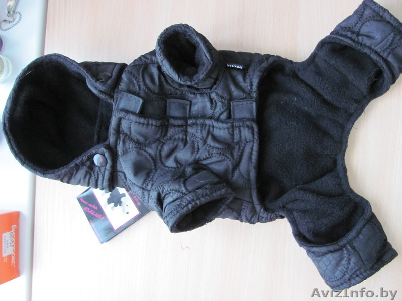 Комбинезон для маленькой собаки - Изображение #2, Объявление #849241