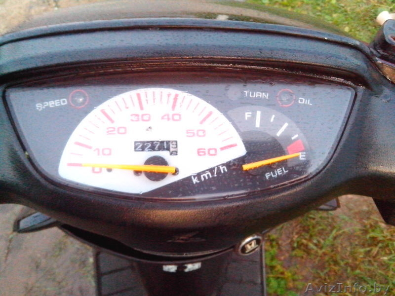 слава эмайла нет +375333373419  - Изображение #5, Объявление #931461