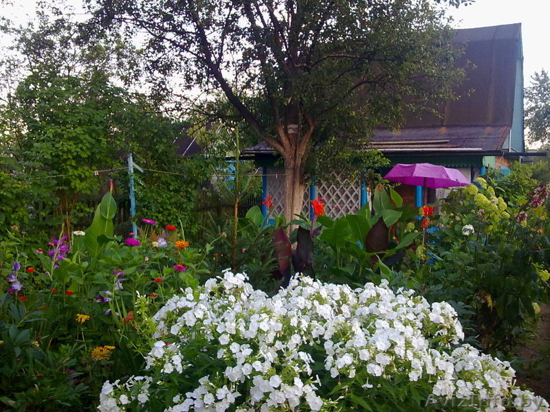 Продается участок с домиком - Изображение #4, Объявление #947643