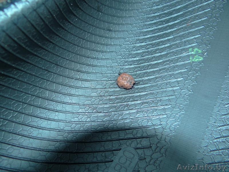 Шины Barum Brillantis 185/65/R15 88T 4 штуки - Изображение #4, Объявление #1027534