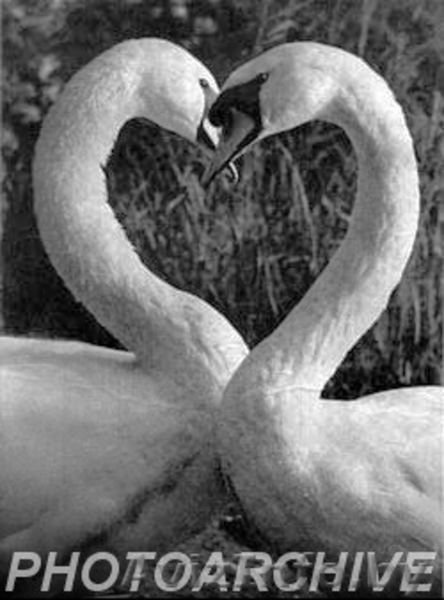 Частный архив мировой документальной и художественной фотогафии.«Советское ФОТО» - Изображение #2, Объявление #1145829