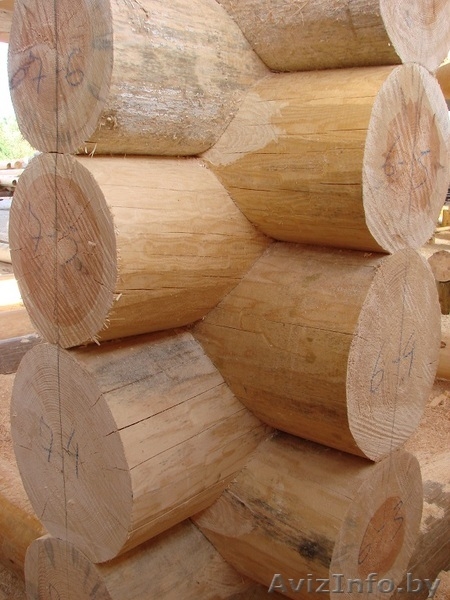 Срубы домов,бань,беседок из бревна ручной оцилиндровки. - Изображение #5, Объявление #1287494