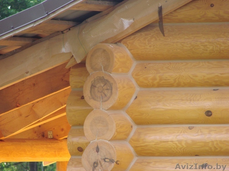 Срубы домов,бань,беседок из бревна ручной оцилиндровки. - Изображение #7, Объявление #1287494