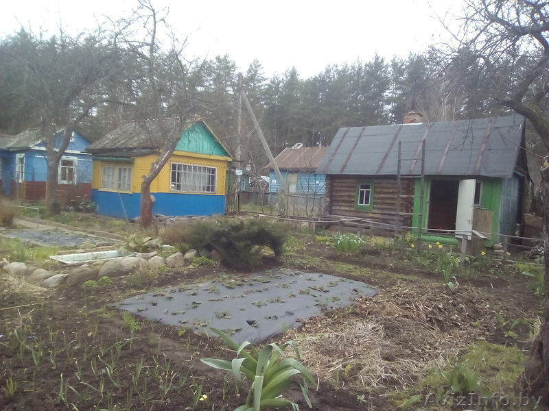 дача в шнитки-1 - Изображение #3, Объявление #1617910