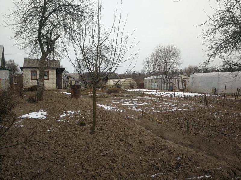 Дача Шнитки Новополоцк - Изображение #5, Объявление #1650363