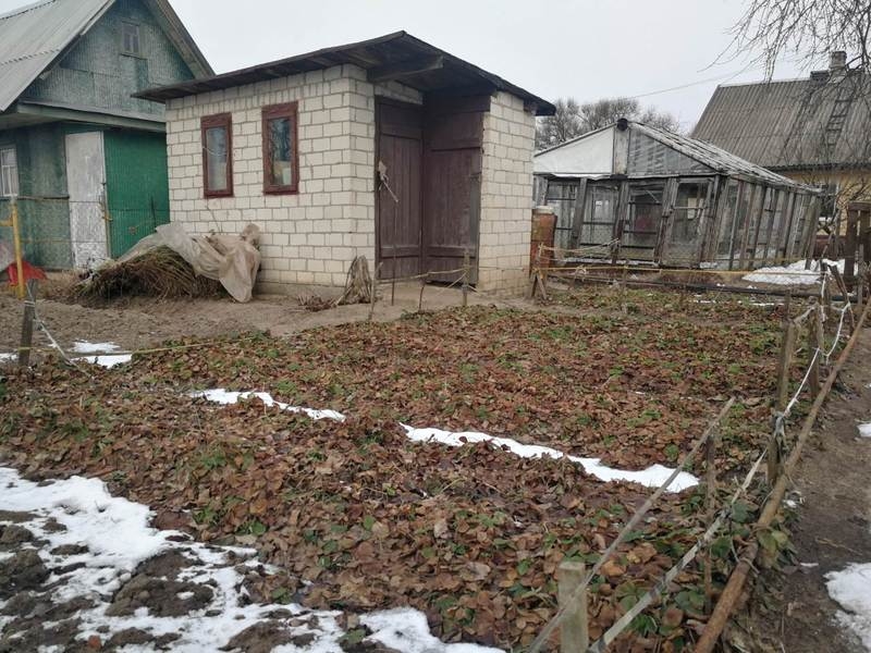 Дача Шнитки Новополоцк - Изображение #6, Объявление #1650363