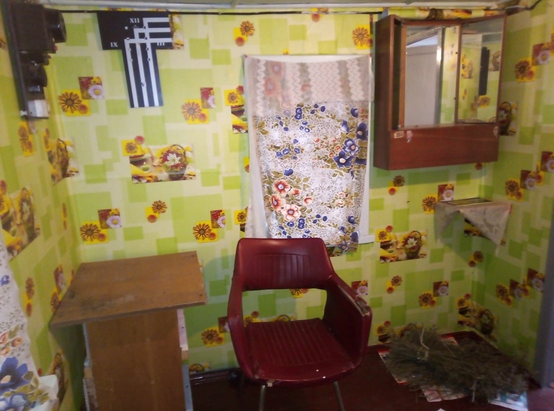 Дача в Новополоцке Шнитки Нефтяник-1 ул.6-я Линия-119 - Изображение #5, Объявление #1681386