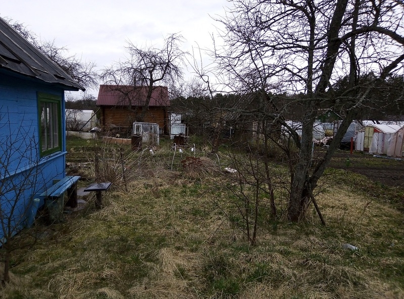 Дача в Новополоцке Шнитки Нефтяник-1 ул.6-я Линия-119 - Изображение #8, Объявление #1681386