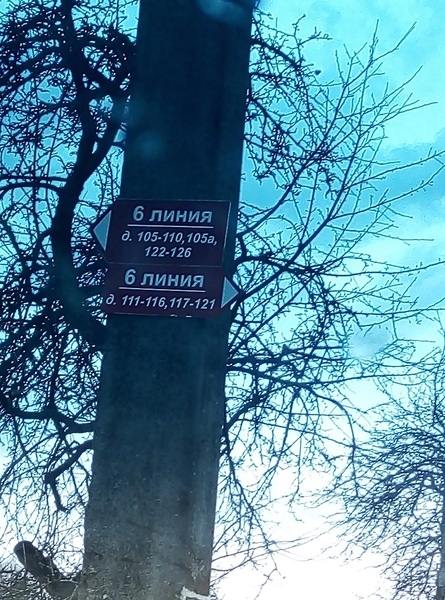 Дача в Новополоцке Шнитки Нефтяник-1 ул.6-я Линия-119 - Изображение #9, Объявление #1681386